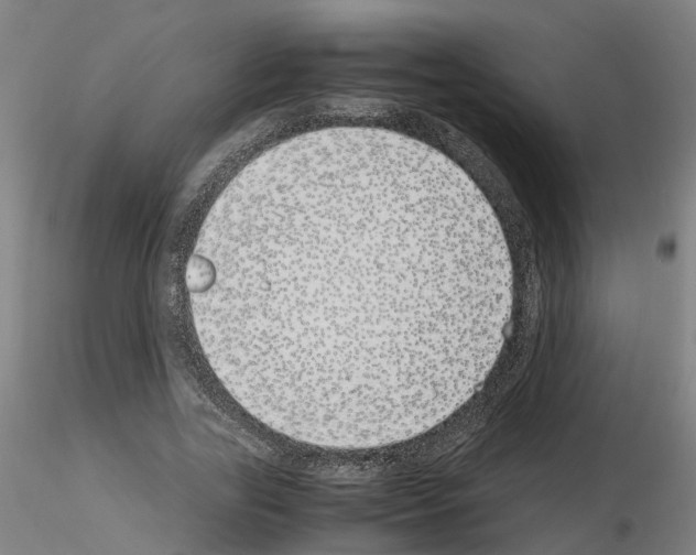 X0000115620731200912221227
