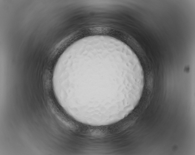 X0000115620733200912221227
