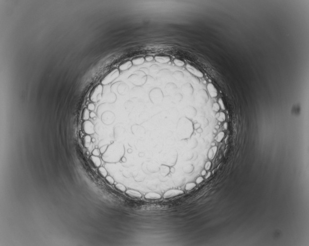 X0000115620734200912221227