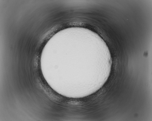 X0000115620735200912221227