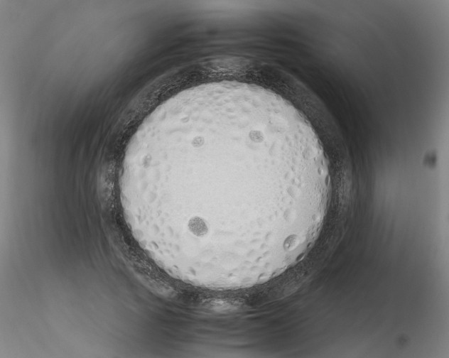X0000115620737200912221228