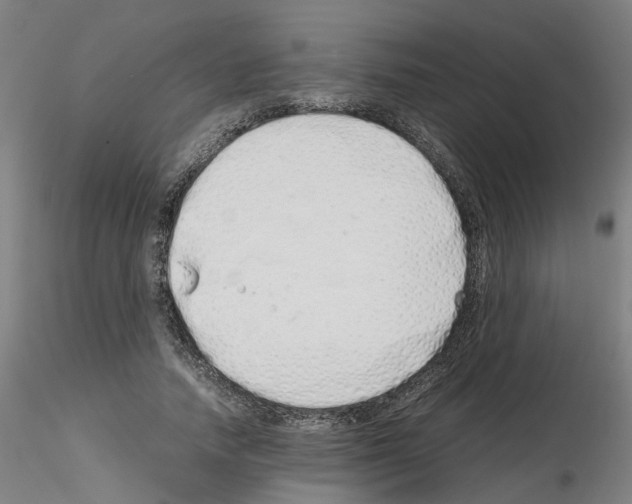 X0000115620738200912221228