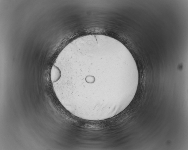 X0000115620739200912221228