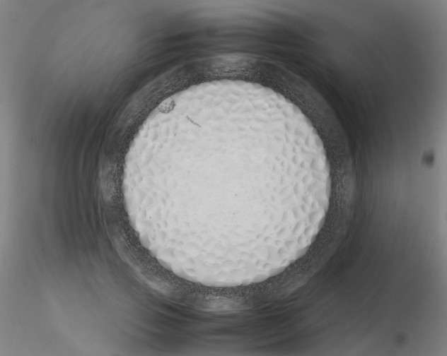X0000115620741200912221228