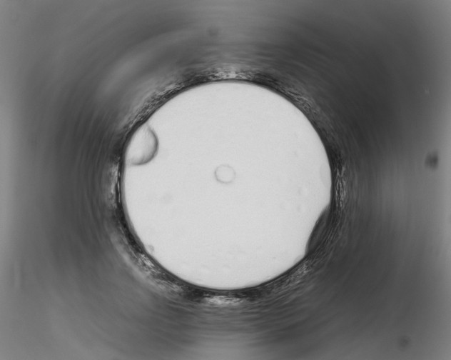X0000115620742200912221228