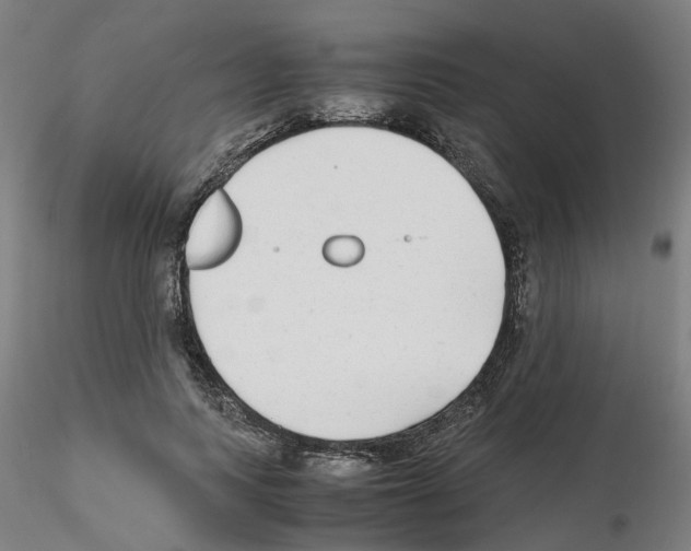 X0000115620743200912221228