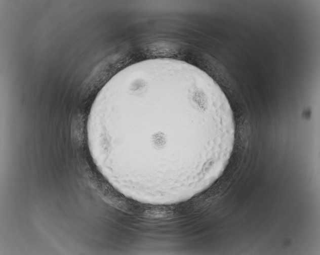 X0000115620745200912221228
