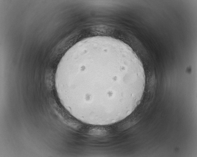 X0000115620749200912221228
