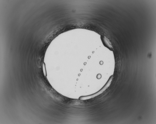 X0000115620750200912221228