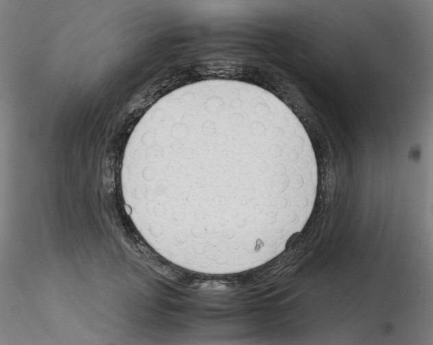 X0000115620751200912221228