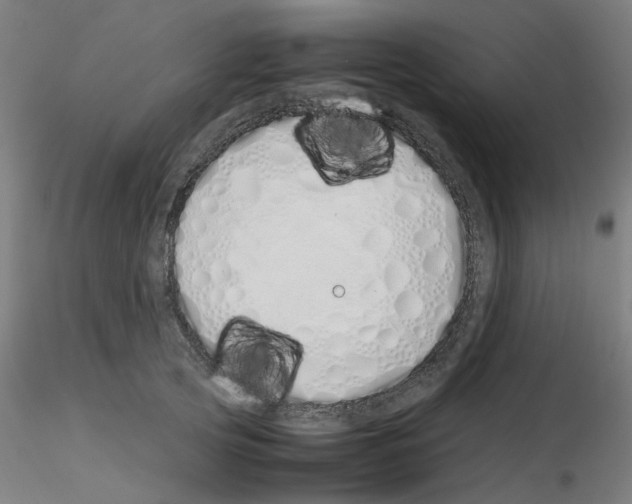 X0000115620753200912221228