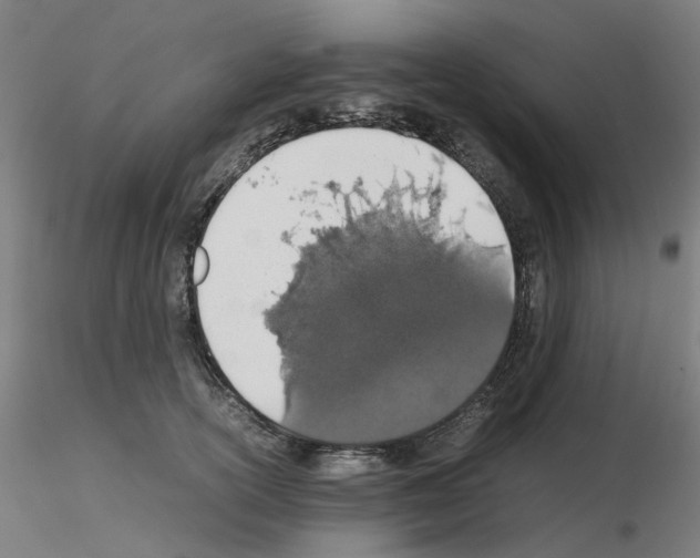 X0000115620754200912221228