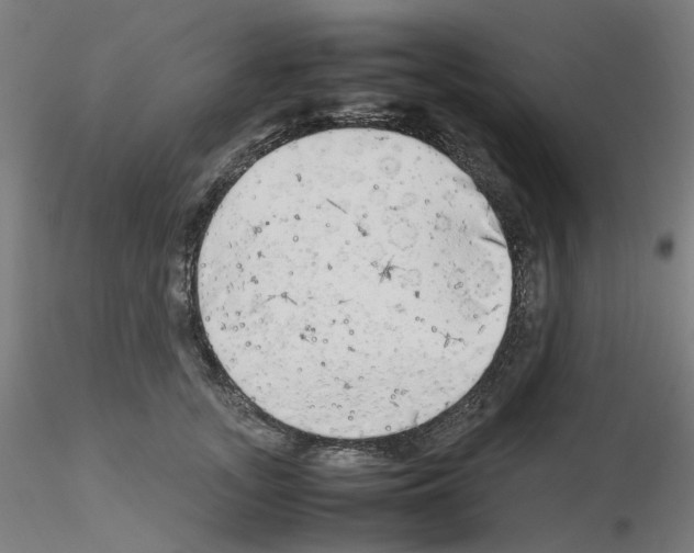 X0000115620755200912221228