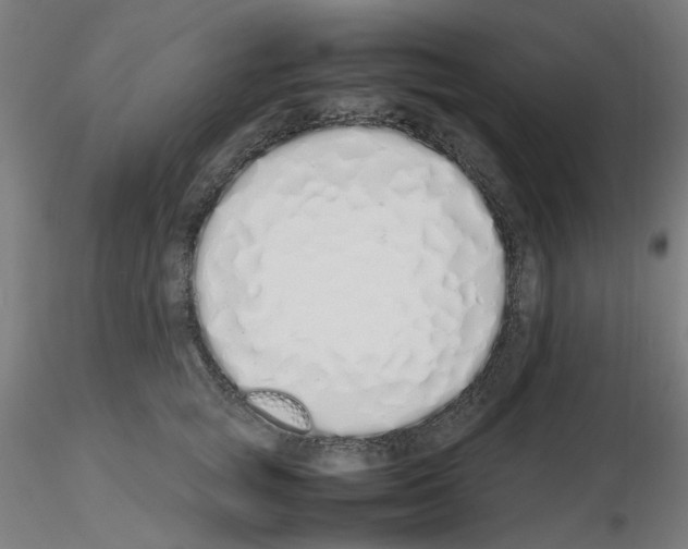 X0000115620757200912221228