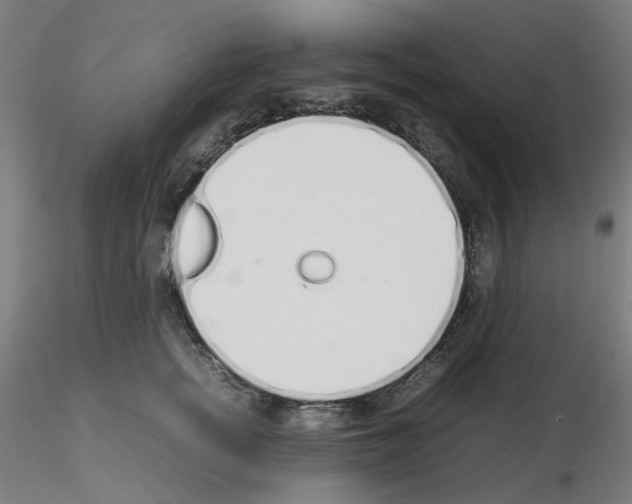 X0000115620758200912221228