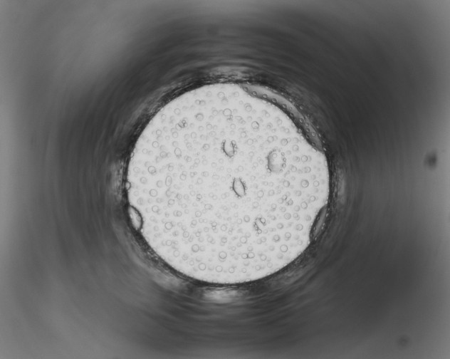 X0000115620759200912221228