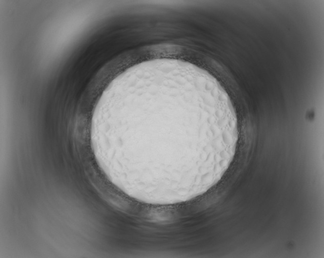 X0000115620761200912221228
