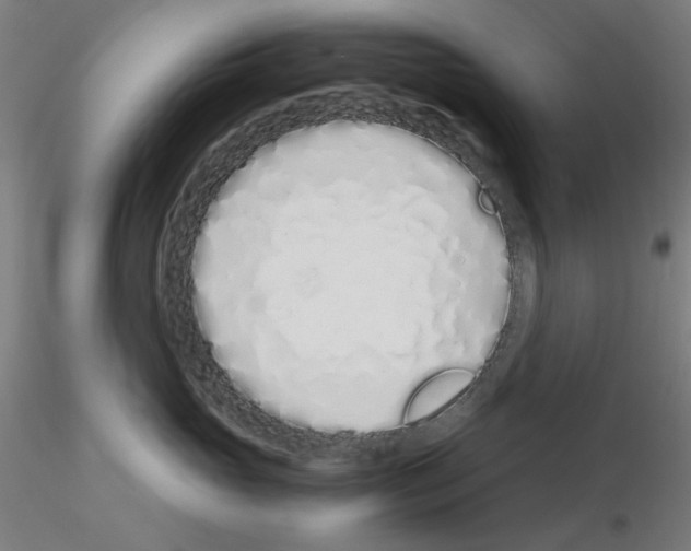 X0000115620765200912221228
