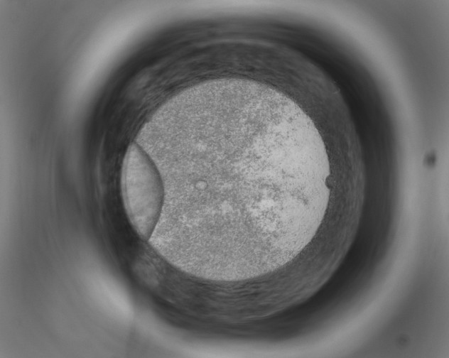 X0000115620766200912221228