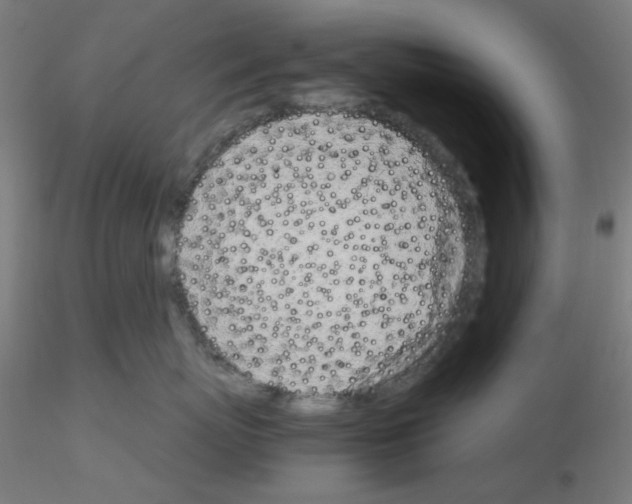 X0000115620767200912221228