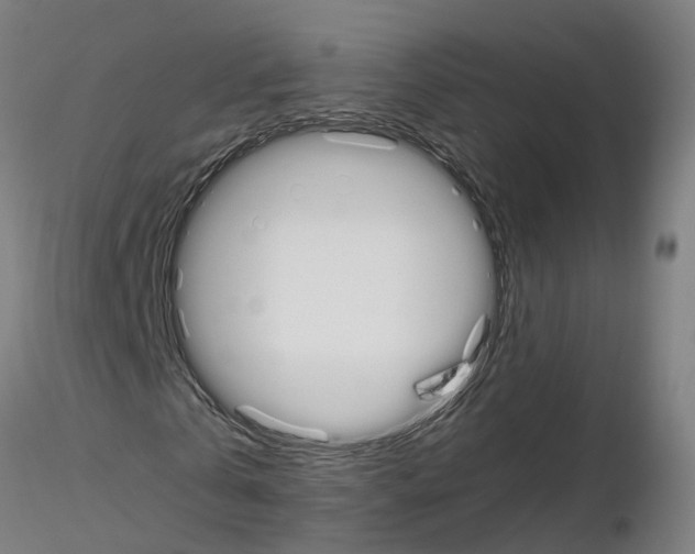 X0000115620769200912221227
