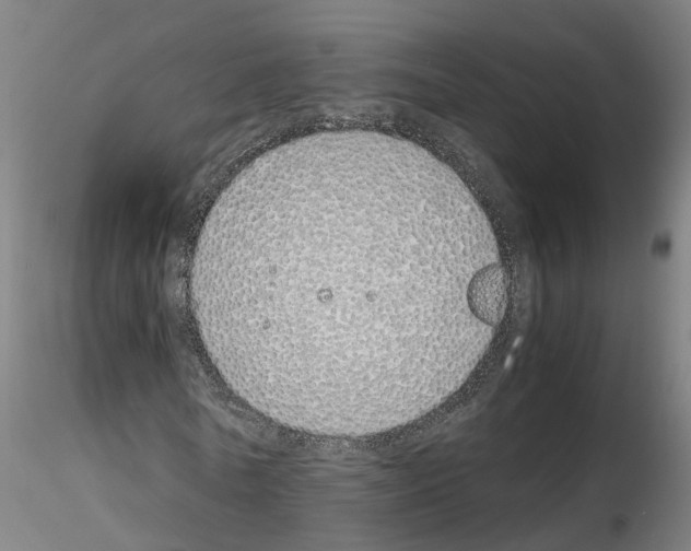 X0000115620770200912221227