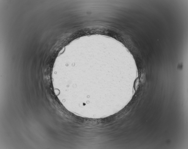 X0000115620771200912221227