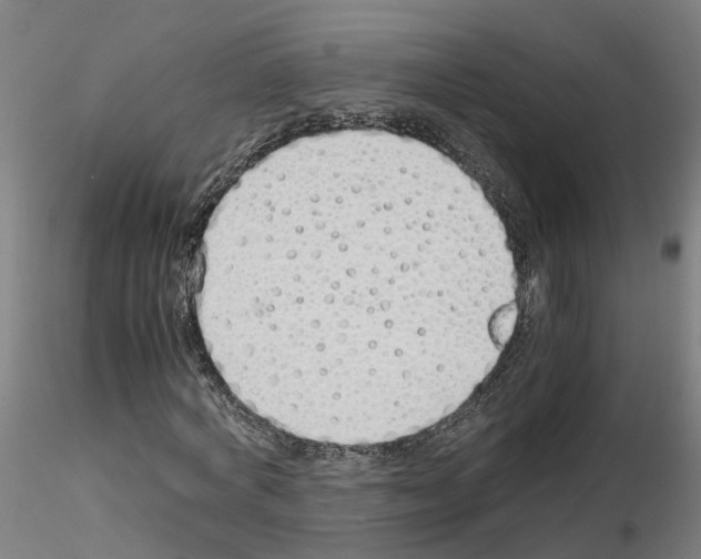 X0000115620772200912221227