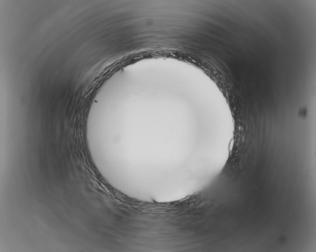 X0000115620773200912221227