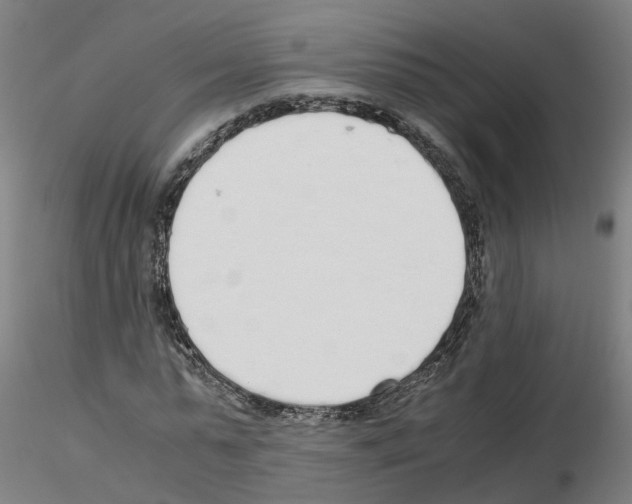 X0000115620775200912221227
