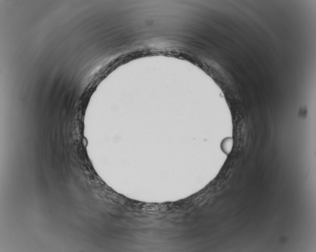 X0000115620776200912221227