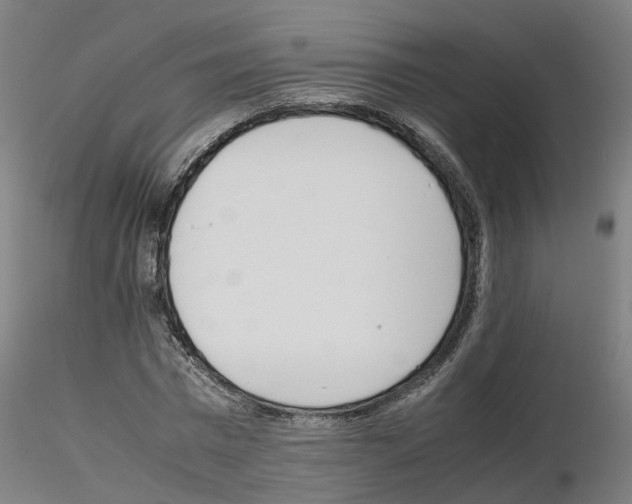 X0000115620777200912221227