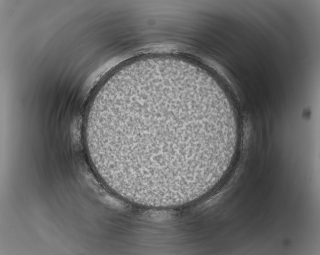 X0000115620778200912221227