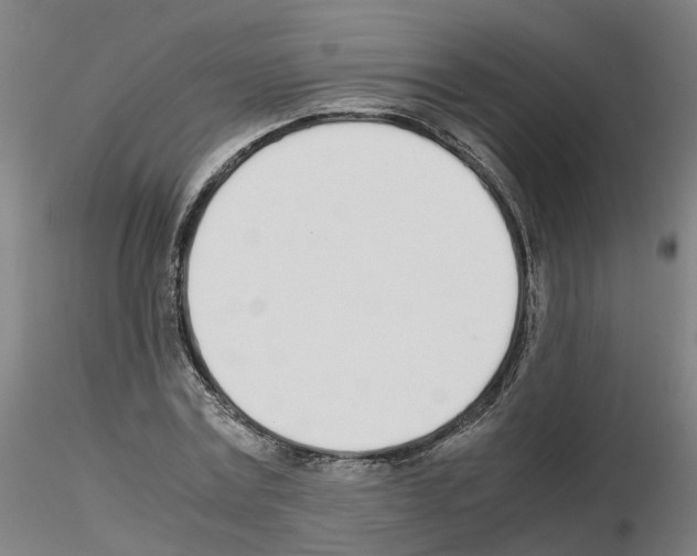 X0000115620779200912221227