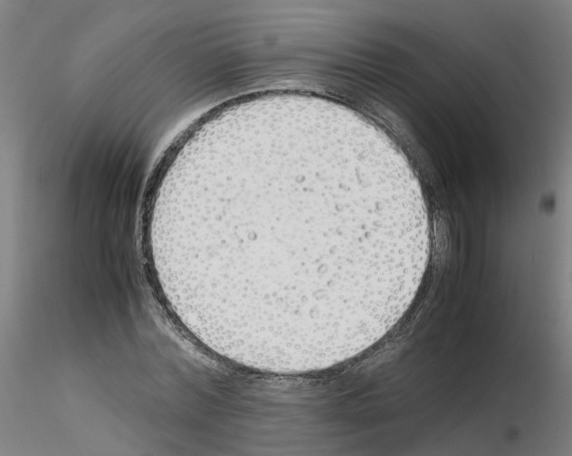 X0000115620780200912221227
