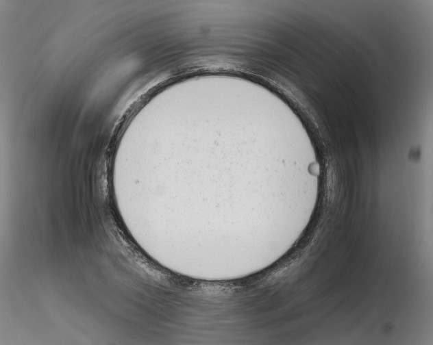 X0000115620782200912221227