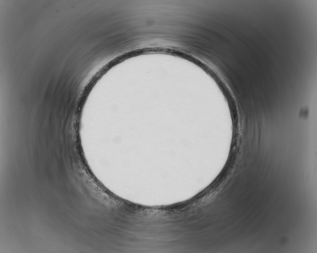 X0000115620783200912221227