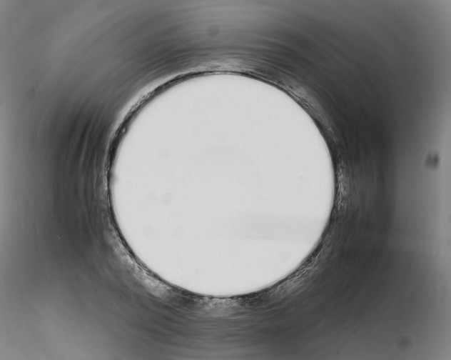 X0000115620784200912221227