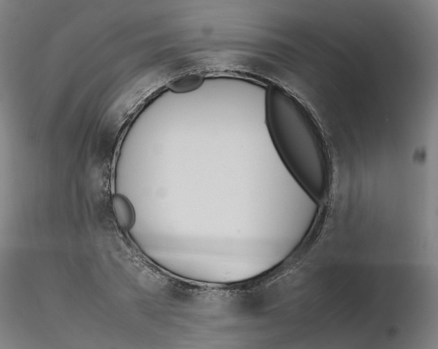 X0000115620785200912221227