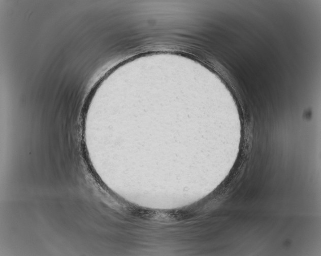 X0000115620787200912221227