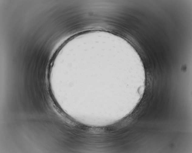 X0000115620788200912221227