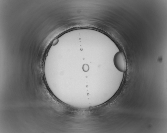 X0000115620789200912221227