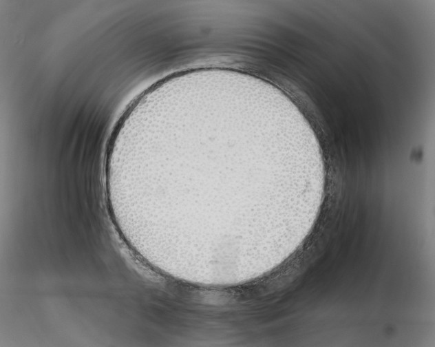 X0000115620792200912221227