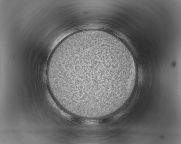 X0000115620794200912221227