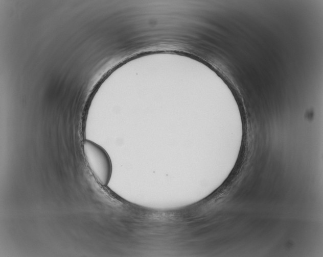 X0000115620797200912221227