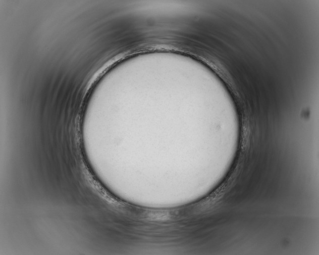 X0000115620798200912221227