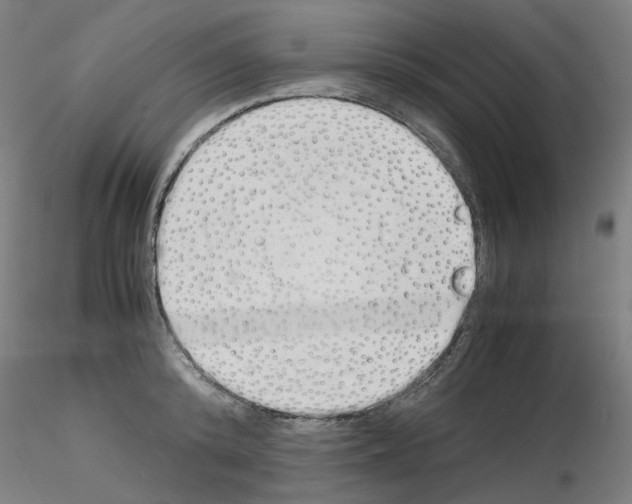X0000115620800200912221227