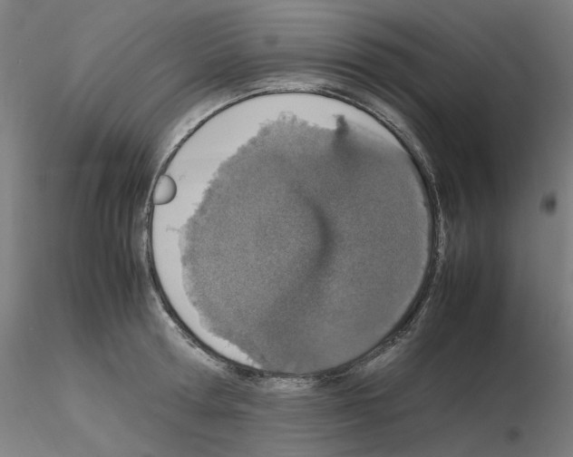 X0000115620802200912221227