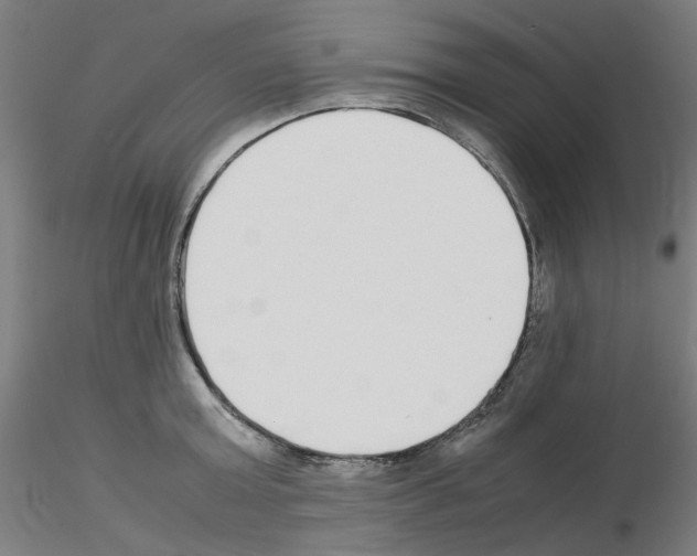 X0000115620803200912221227