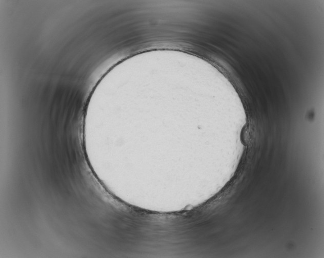 X0000115620804200912221227